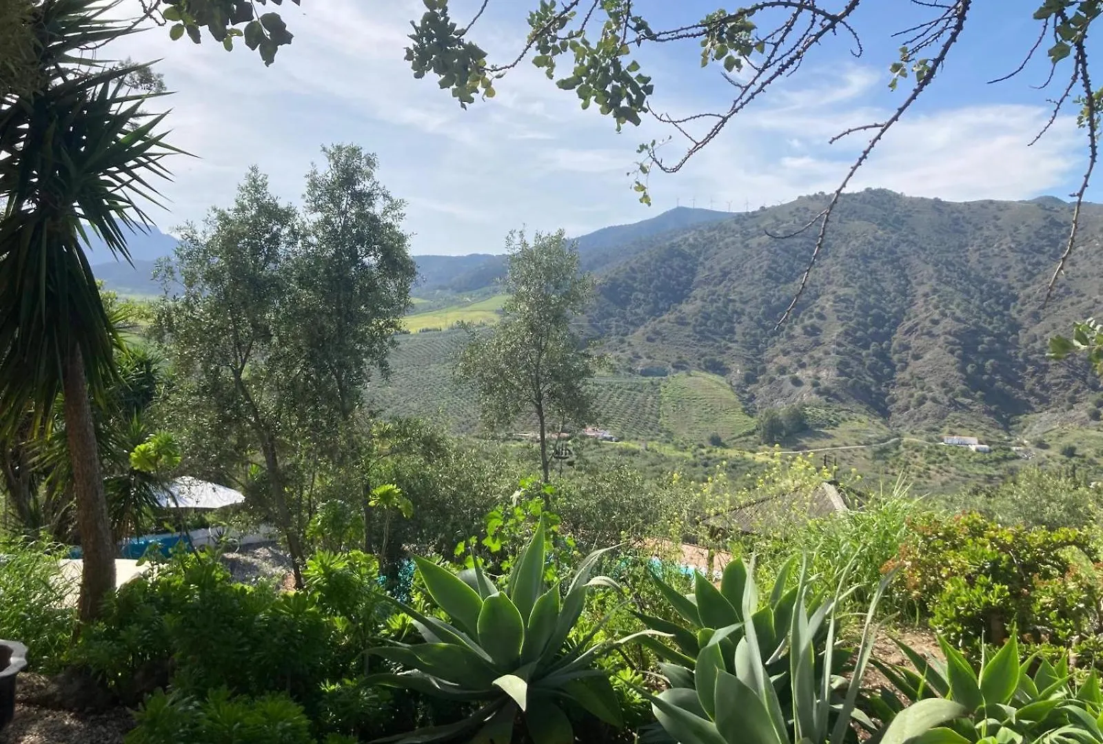 Bed & Breakfast Casa Del Sueno Bed and Breakfast Alora