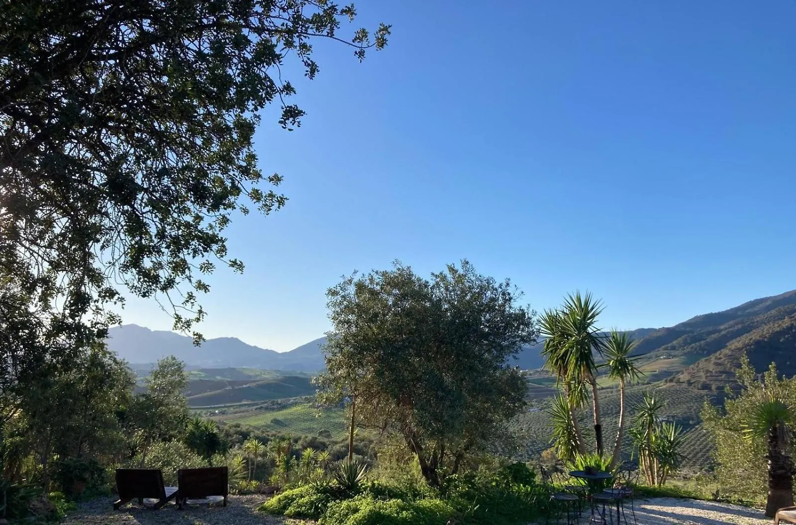 Casa Del Sueno Bed & Breakfast Alora