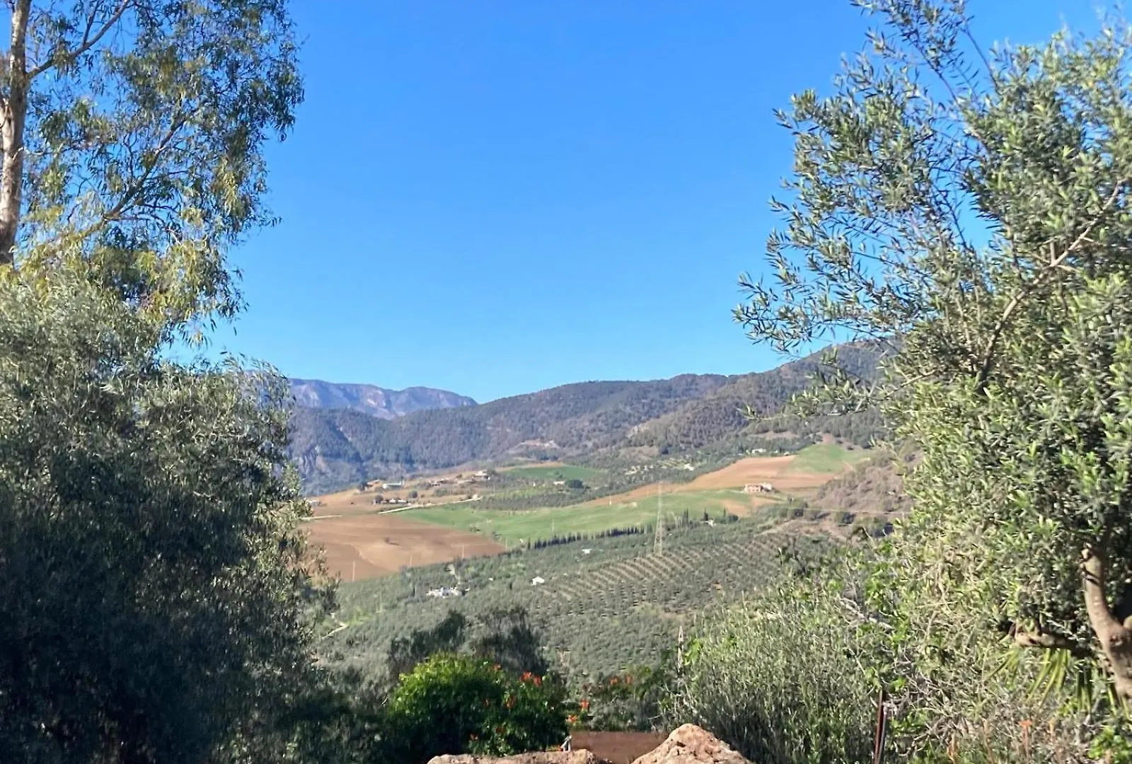 Casa Del Sueno Bed & Breakfast Alora 0*,