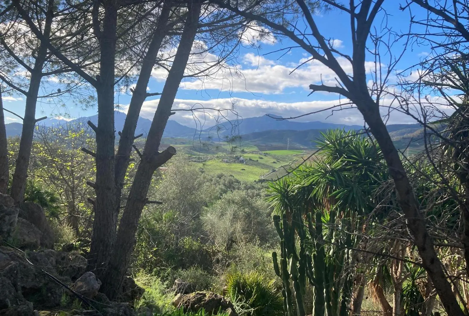 Casa Del Sueno Bed & Breakfast Alora