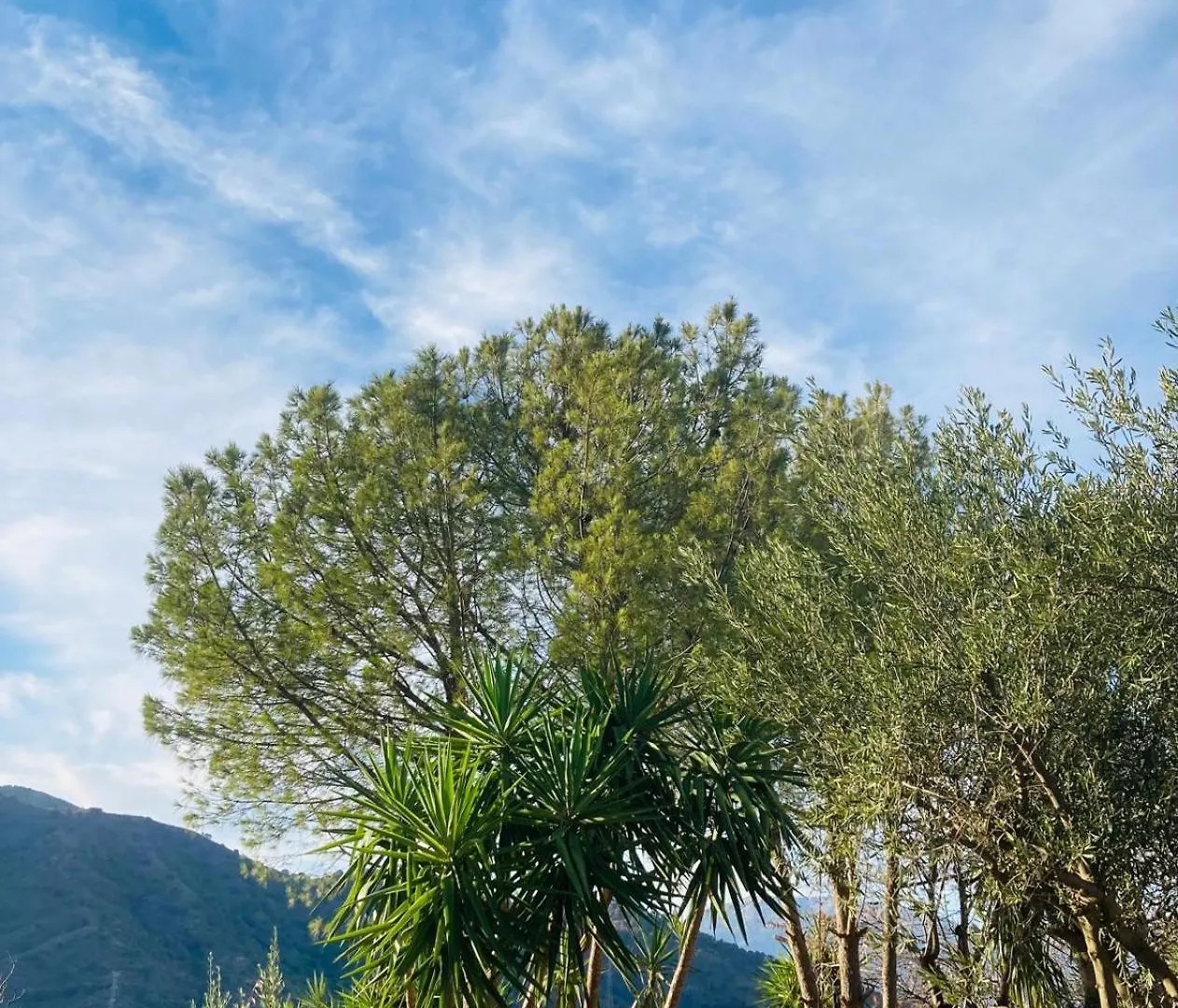 Casa Del Sueno Bed & Breakfast Alora 0*,