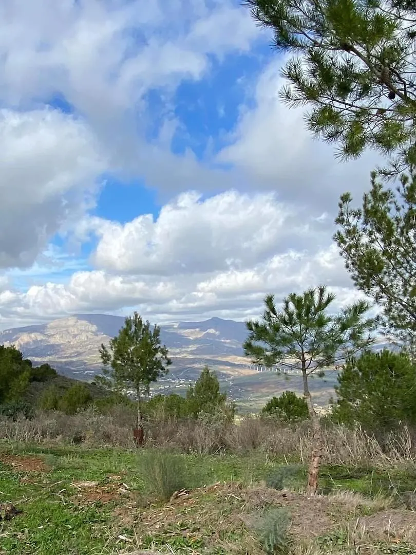 Casa Del Sueno Bed & Breakfast Alora Spain
