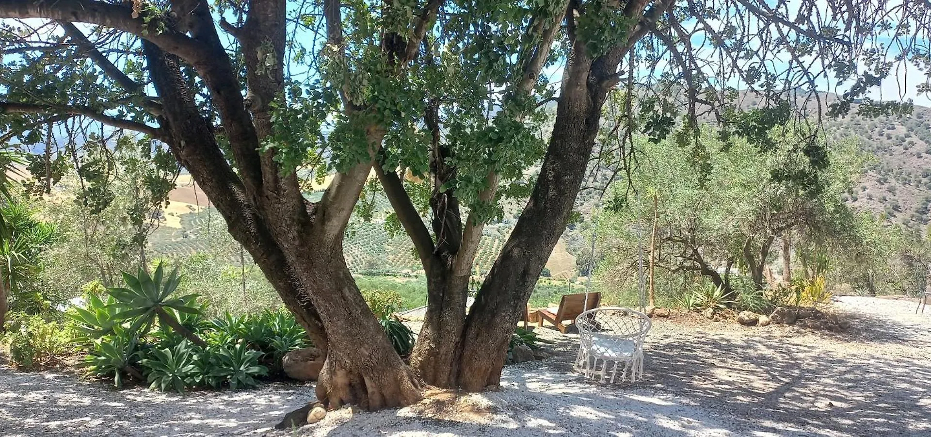 Casa Del Sueno Bed & Breakfast Alora 0*,  Spain