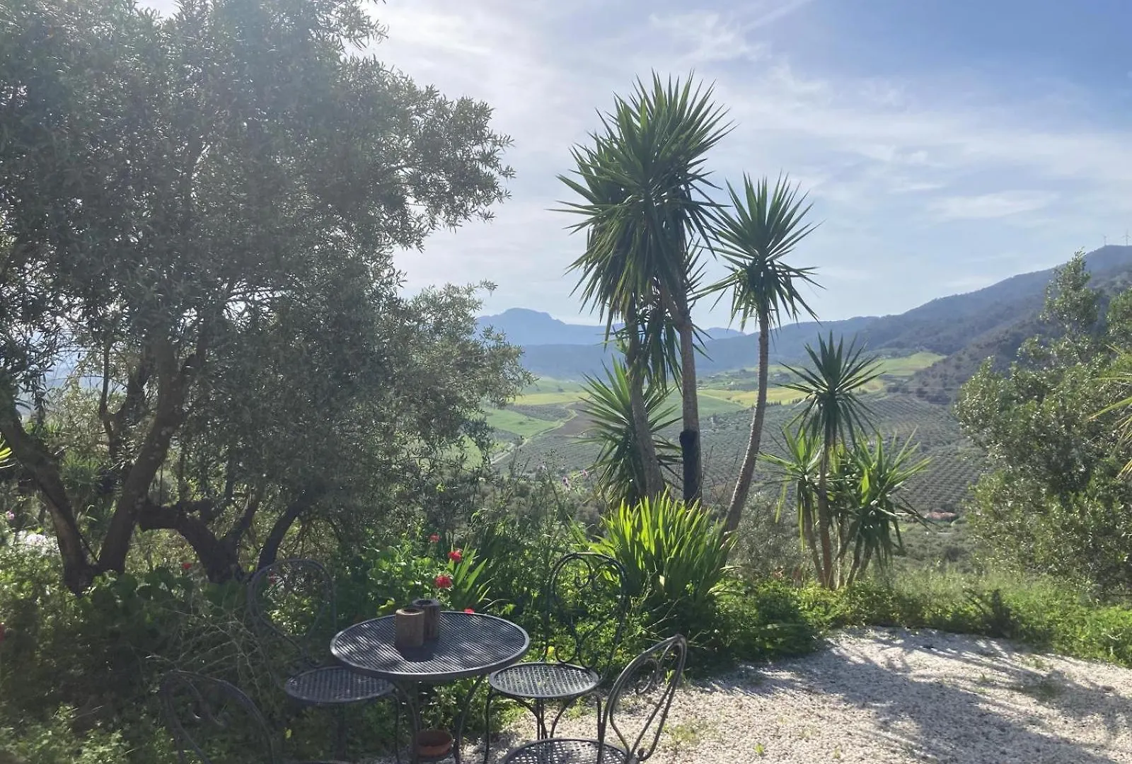 Casa Del Sueno Bed & Breakfast Alora Spain
